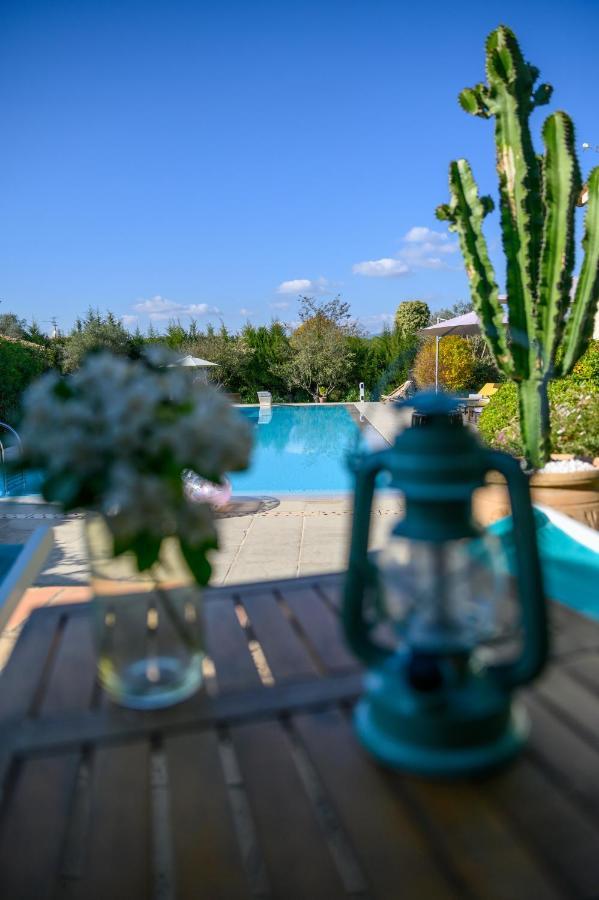 Le Mas De La Source Bed and Breakfast Mougins Esterno foto