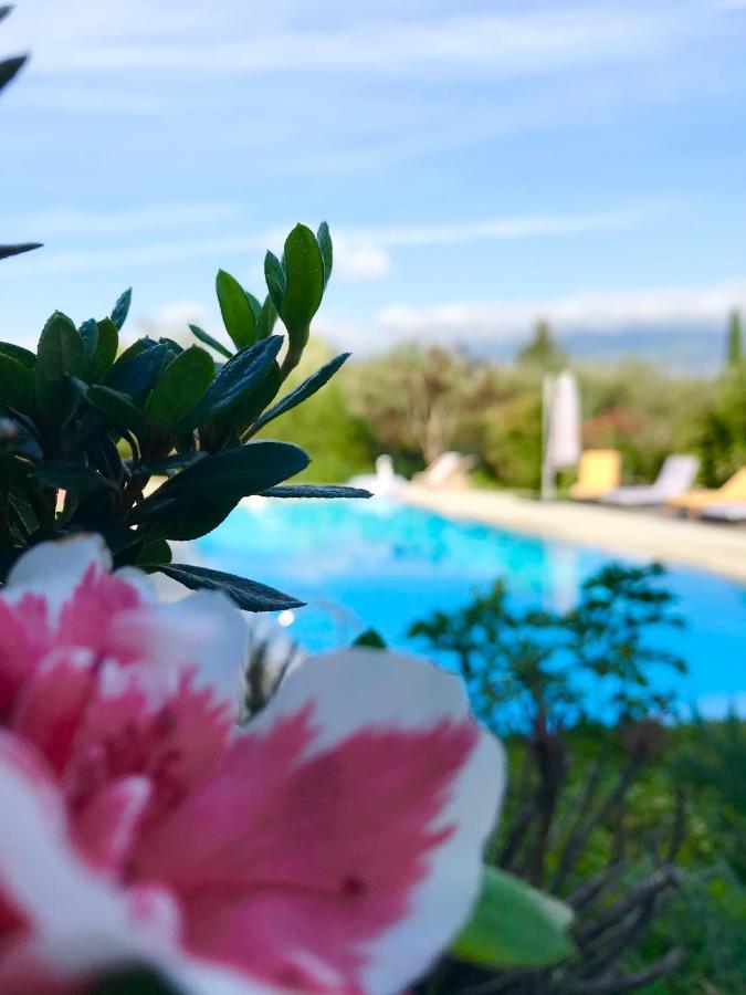 Le Mas De La Source Bed and Breakfast Mougins Esterno foto