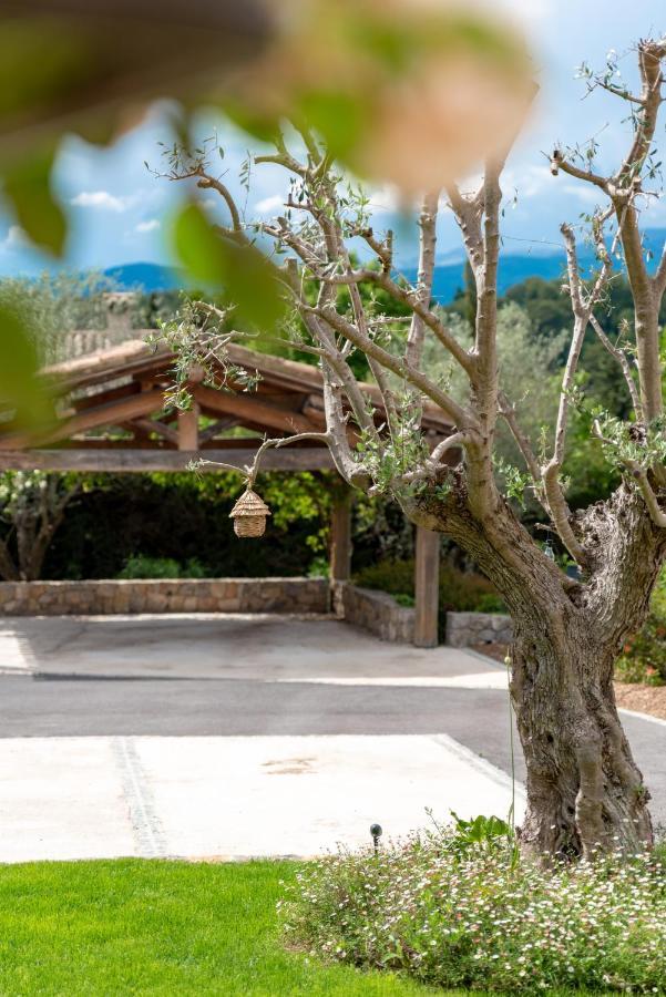 Le Mas De La Source Bed and Breakfast Mougins Esterno foto