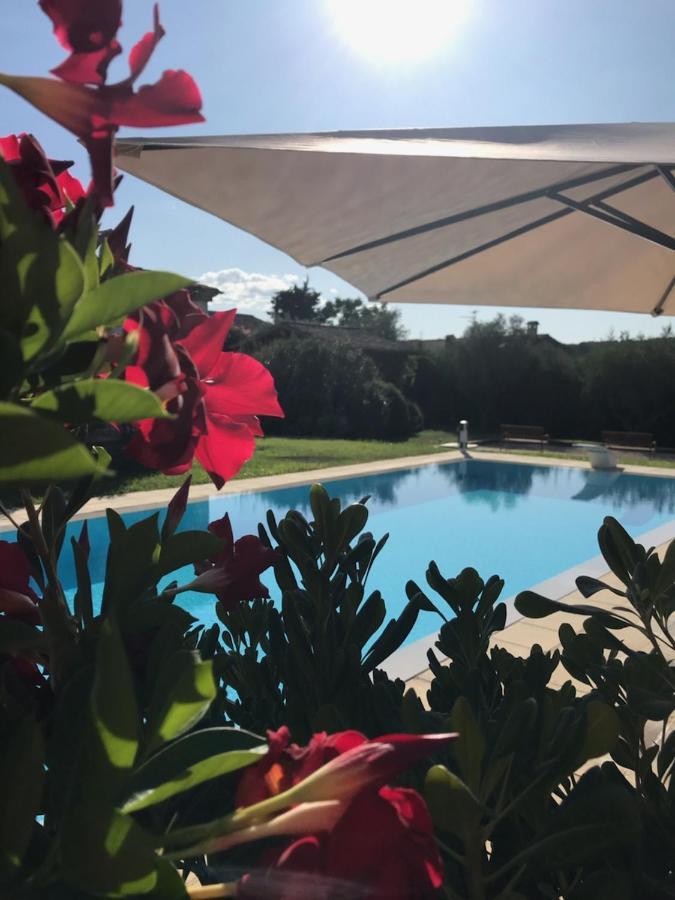 Le Mas De La Source Bed and Breakfast Mougins Esterno foto