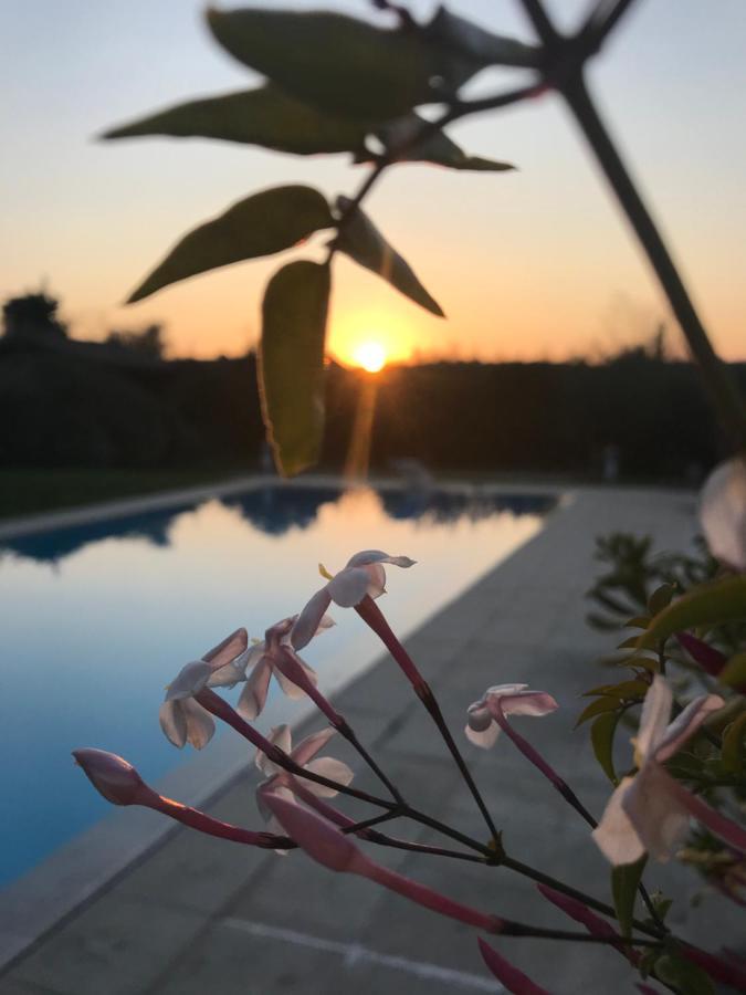 Le Mas De La Source Bed and Breakfast Mougins Esterno foto